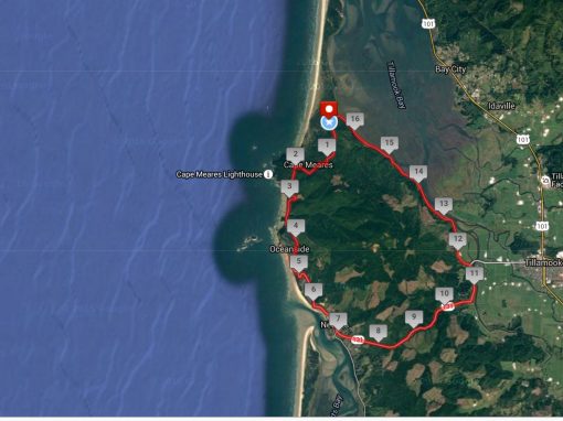 Long Course Triathlon