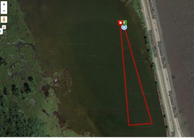Sprint Triathlon